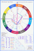 Birth Chart Wheel